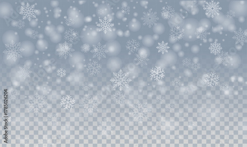 Snowfall With Transparent Background