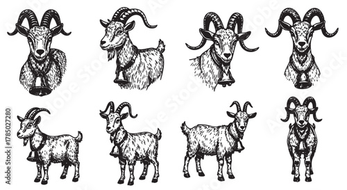 Black and white sketch illustrations of eight goats with detailed features and prominent horns, each wearing a bell around the neck.