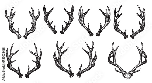 Eight detailed black outline drawings of antlers displayed in two rows, showcasing various shapes and designs.