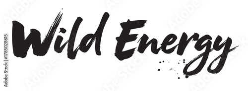 Brush-stroked black lettering of 'wild energy' in a bold, dynamic style suggests movement and vitality.