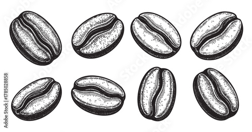 Eight intricately detailed black and white sketched coffee beans arranged in two parallel rows on a plain background.
