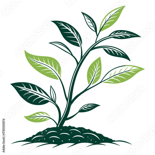 A thriving plant with lush green leaves growing from fertile soil, , symbolizing growth and vitality