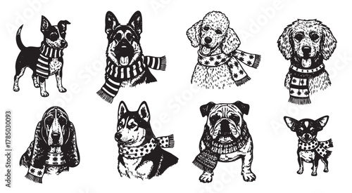 Eight black and white illustrations of different dog breeds wearing patterned scarves, showcasing unique and cozy styles.