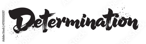 Bold black brushstroke lettering spelling the word "determination" with a dynamic and energetic design.