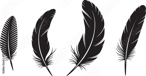 Black feathers isolated on white background quill plume