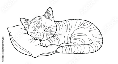 A peaceful striped kitten soundly sleeping on a soft cushion.