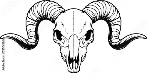 Detailed Ram Skull Vector Illustration with Large Spiral Horns in Black and White Outline for Vintage or Tattoo Design, AI Generative