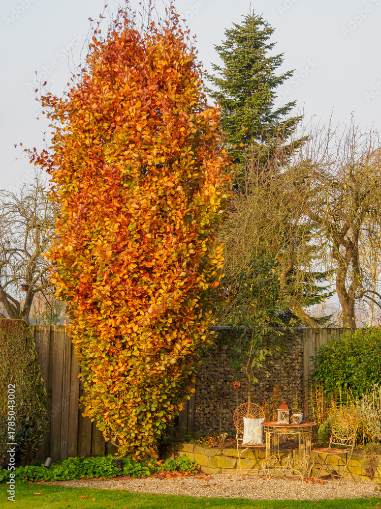 Naklejka premium Herbst am Pröbstingsee in Borken