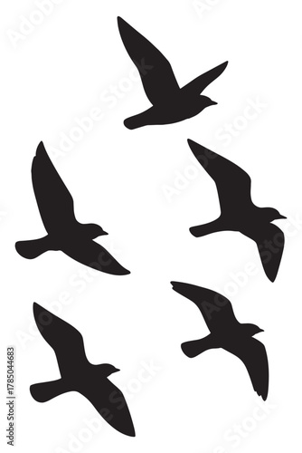 Seagulls soaring in elegant formation against a vast sky, evoking freedom and migration for travel or wildlife concepts