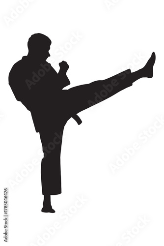 Dynamic silhouette of martial artist performing a powerful kick, embodying strength, discipline, and focus for fitness, sports, or self-defense concepts