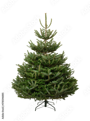 Full, natural Christmas tree with a visible central trunk and stand, ready to be decorated and isolated on white.