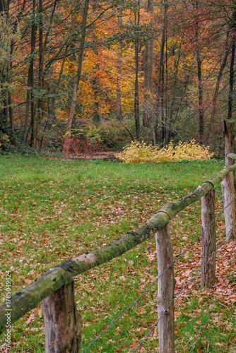 Herbstzeit im Münsterland in der Nähe von Velen