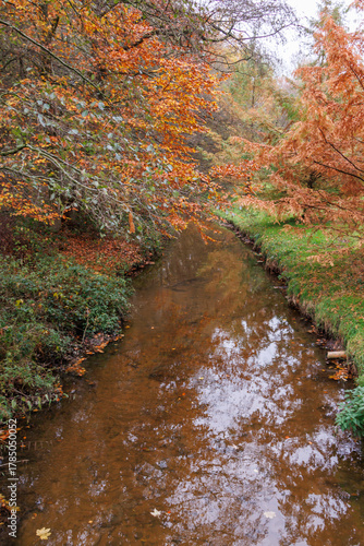 Herbstzeit im Münsterland in der Nähe von Velen