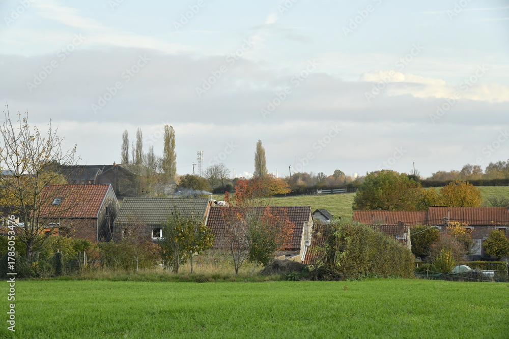 Fototapeta premium L'un des villages typiques composés de vieilles bâtisses en automne à Écaussinnes-d'Enghien (Soignies)