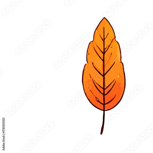 variant collection decoration autumn. mushroom, leaf, pumpkin