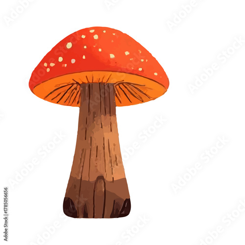 hellow autumn and acorn on the autumn season