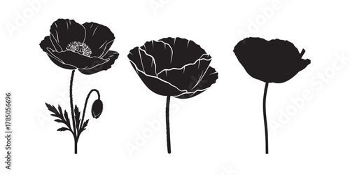 poppy flower silhouette, iceland poppy flower silhouette, black poppy flower, poppy flower black silhouette, iceland poppy silhouette, poppy outline, poppy vector silhouette, poppy flower art