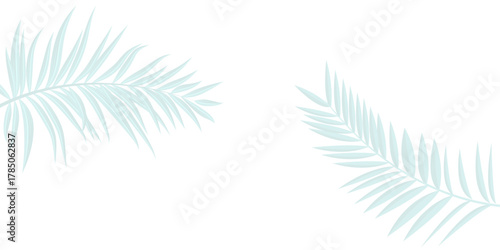 White background with gray outline of palm branches, horizontal background. Palm Tree Branch With White Background With Gradient Mesh, 