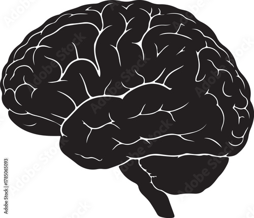 Black Silhouette of a Human Brain with Intricate Gyri and Sulci anatomy science on transparent background