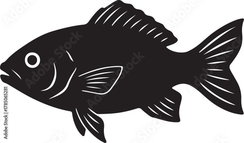 Silhouette of a Fish with Fins and Tail Keywords: fish, aquatic, animal, silhouette, isolated, black, white background, marine, ocean, sea, water, swimming, wildlife, on transparent background