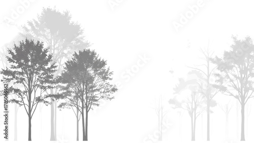 Vector illustration of misty forest scene with layered trees and soft light on a white background