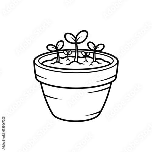 Seedling growing in a pot