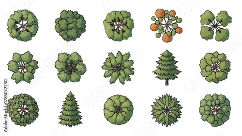 Elevated Botanical Views Collection of Tree Tops for Design and Illustration