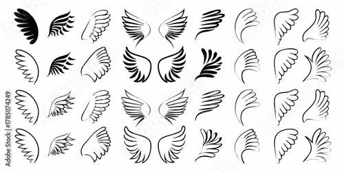 Collection of diverse hand drawn black and white angel and bird wing illustrations isolated on white background