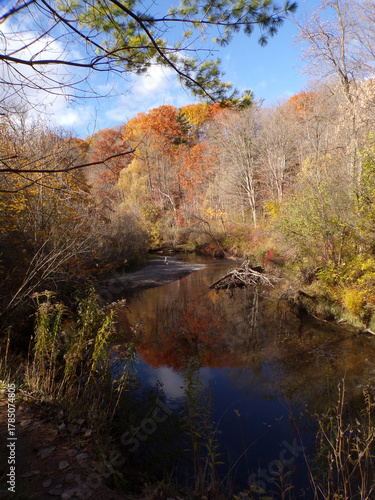 Fall landscape with colorful trees and river