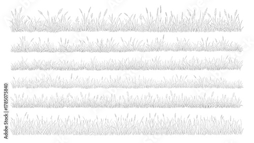 Vector illustration of a row of grass textures on a transparent background, perfect for nature design elements