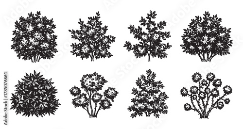 Black silhouette illustrations of eight different bush and shrub varieties, showcasing diverse plant shapes and foliage textures.