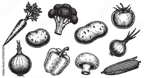 Hand-drawn style black and white illustrations of various vegetables including carrot, broccoli, tomato, onion, potato, bell pepper, mushroom, and corn.