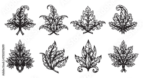 Eight intricately detailed black and white ornamental leaf designs, each showcasing unique patterns and artistic curves.