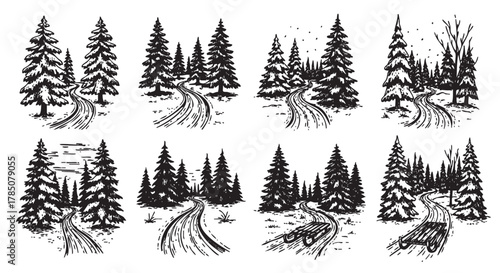 Black and white hand-drawn illustrations of winter forest scenes showcasing snowy paths winding through dense pine trees.