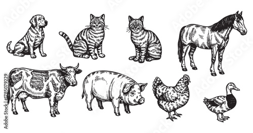 Black and white hand-drawn sketches of farm animals including a dog, cats, horse, cow, pig, chicken, and duck.