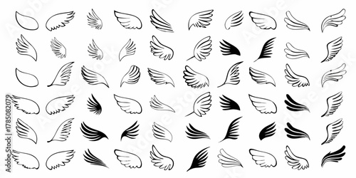Collection of diverse hand drawn wing illustrations in black ink on a white background