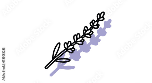 A simple black and white illustration of a lavender sprig casting a soft purple shadow.
