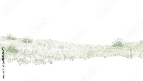 Vector illustration of grassy hill with sparse bushes on a white background