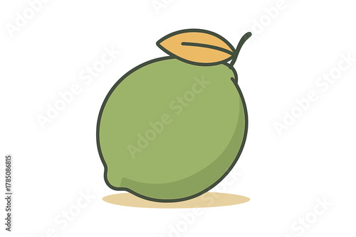 Simple green lime fruit icon with small leaf detail