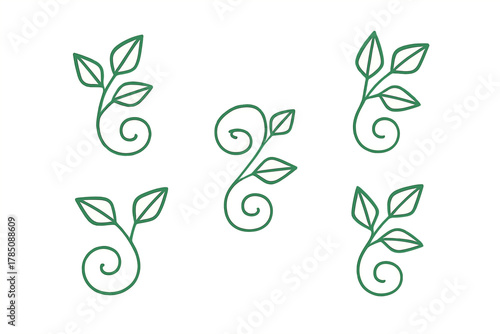 Five simple green line art plant sprouts with elegantly curled stems