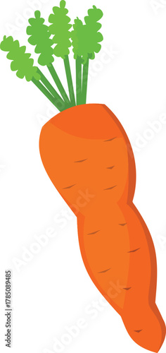 Fresh orange carrot with green leaves isolated on white background cartoon illustration