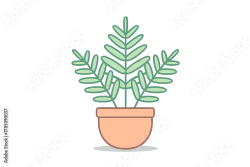 Potted houseplant with lush green foliage in terracotta container