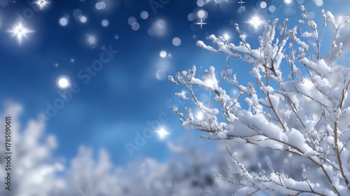 Snow-covered branches against a sparkling winter night sky
