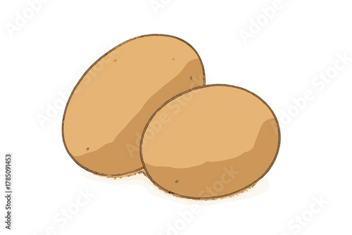 Two whole brown potatoes with textured skin isolated on white background