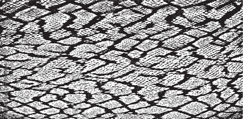 Snakeskin pattern imitation. Lines and spots structural texture. Cool and artsy faux leather background. Abstract vector illustration. Black isolated on white. EPS10