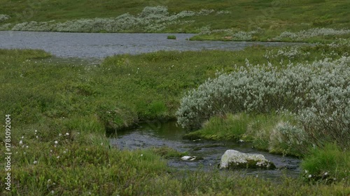 Mountain lake and stream