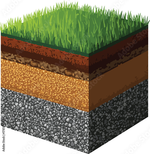 Soil Layers and Ground Cross Section with Grass, Topsoil, Subsoil, and Rock Foundation Vector Illustration, Earth Structure Diagram for Landscape, Geology, and Environmental Design