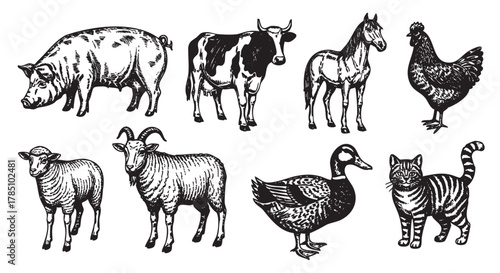 Black and white detailed illustrations of various farm animals including a pig, cow, horse, chicken, sheep, goat, duck, and a cat.