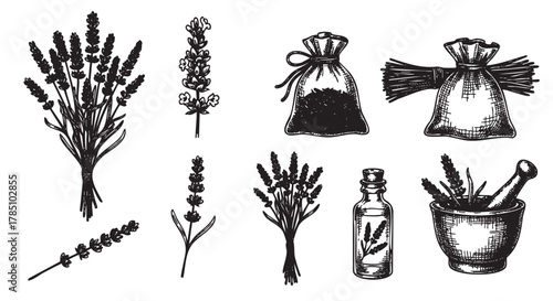 Black and white ink drawings of lavender flowers, a bundle of stems, two sachets, a bottle of lavender oil, and a mortar with pistil.