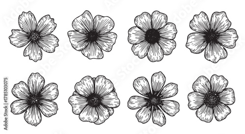 Black outline sketches of eight distinct flowers, each with unique petal arrangements and central details, displayed in two rows.